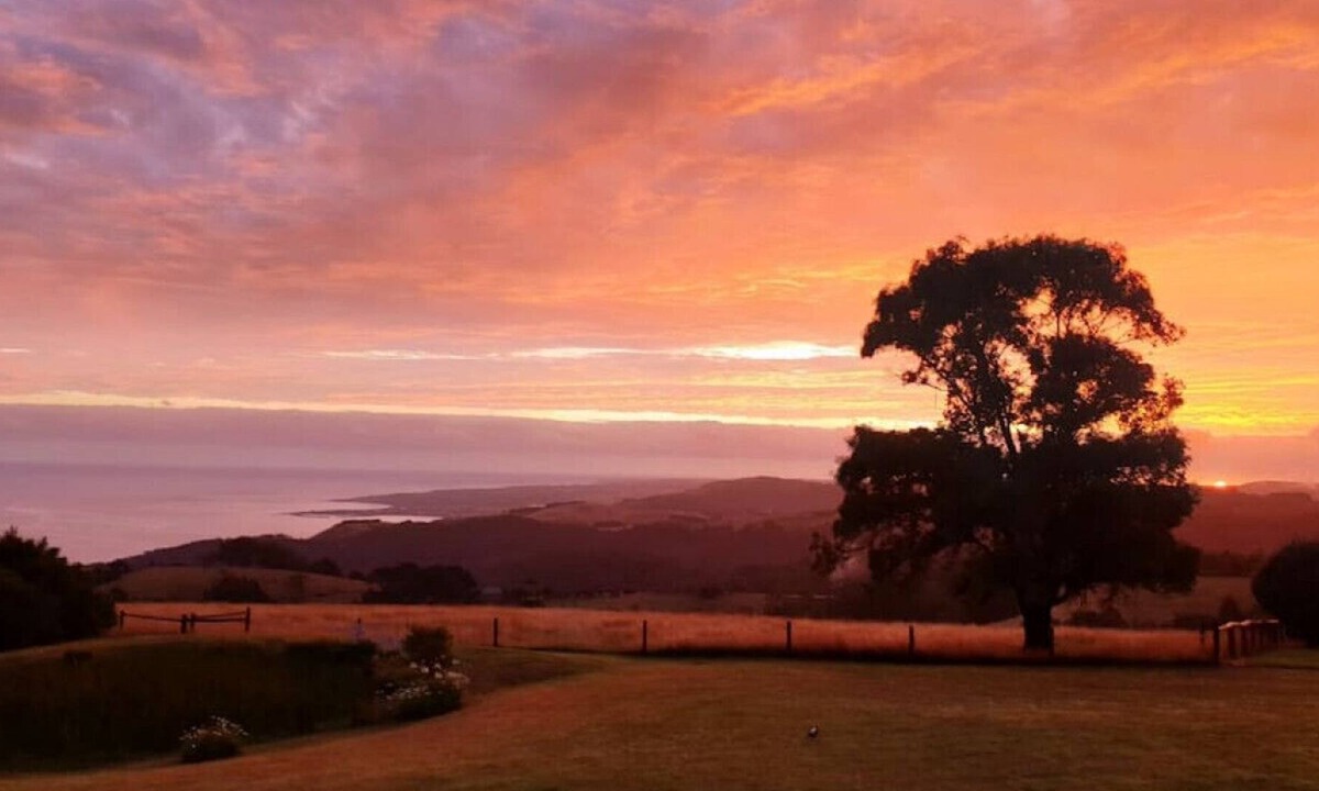 Skenes Creek North House | Ananda - Amazing Ocean Views.