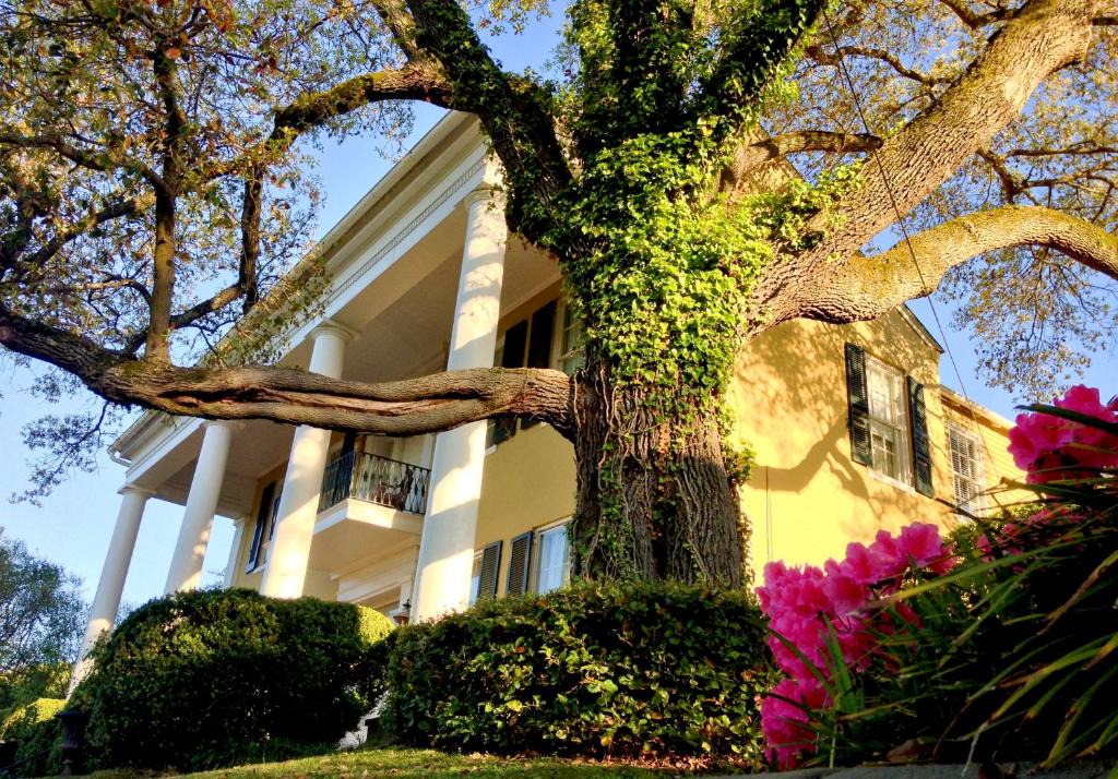 Vicksburg Bed & Breakfast | Anchuca Historic Mansion & Inn