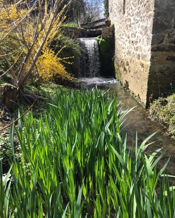 Asse-le-Riboul Apartment | Ancien moulin du 18 ieme