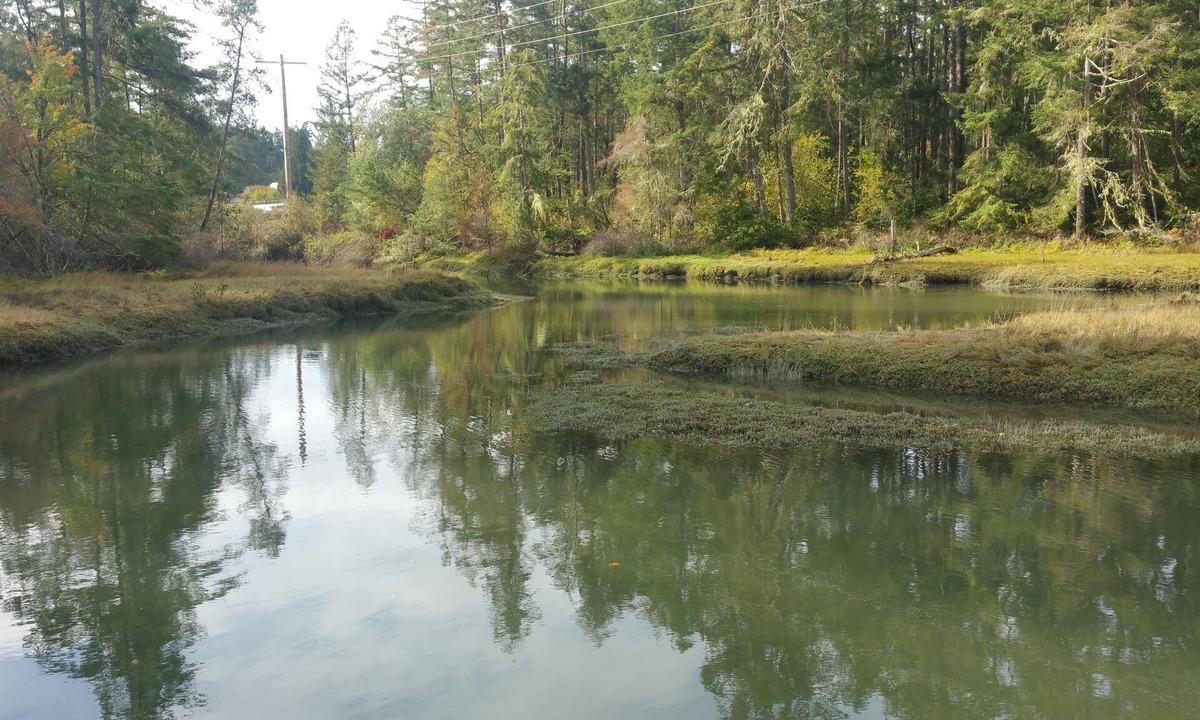 Anderson Island House | Anderson Island Escape