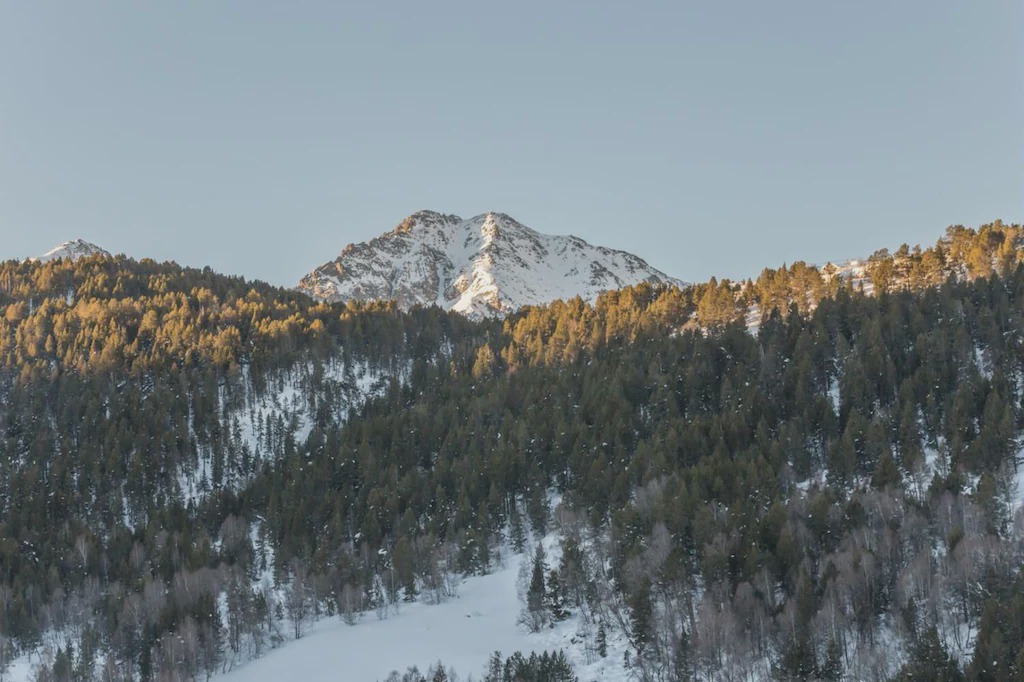 Bordes d'Envalira Apartment | Andorra Bordes d'Envalira 3p 5p