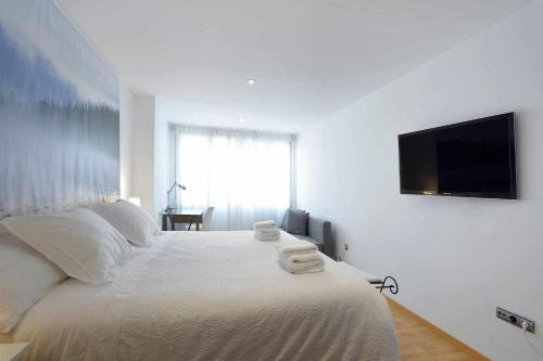 La Magdalena Apartment | Andrews house, 60 m en el centro de Zaragoza