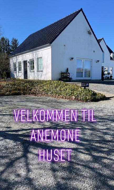Vorbasse Apartment | Anemone huset