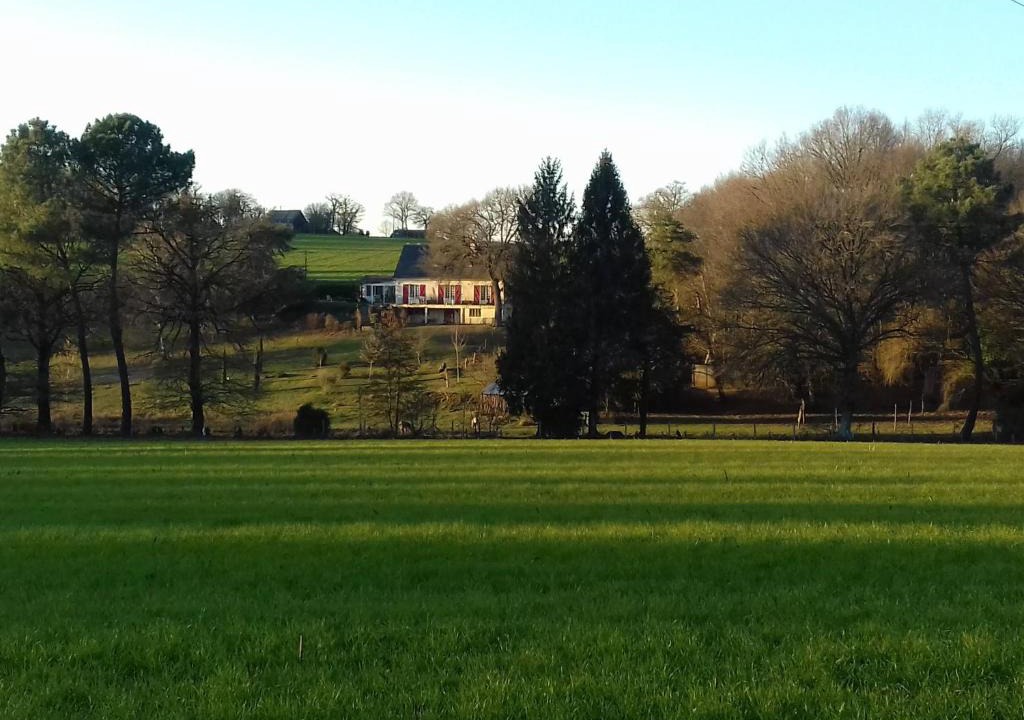 Plechatel House | Angelina et ses animaux