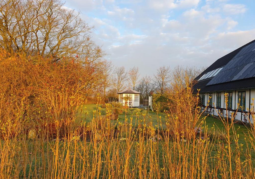 Sollested Bed & Breakfast | Anjas nest