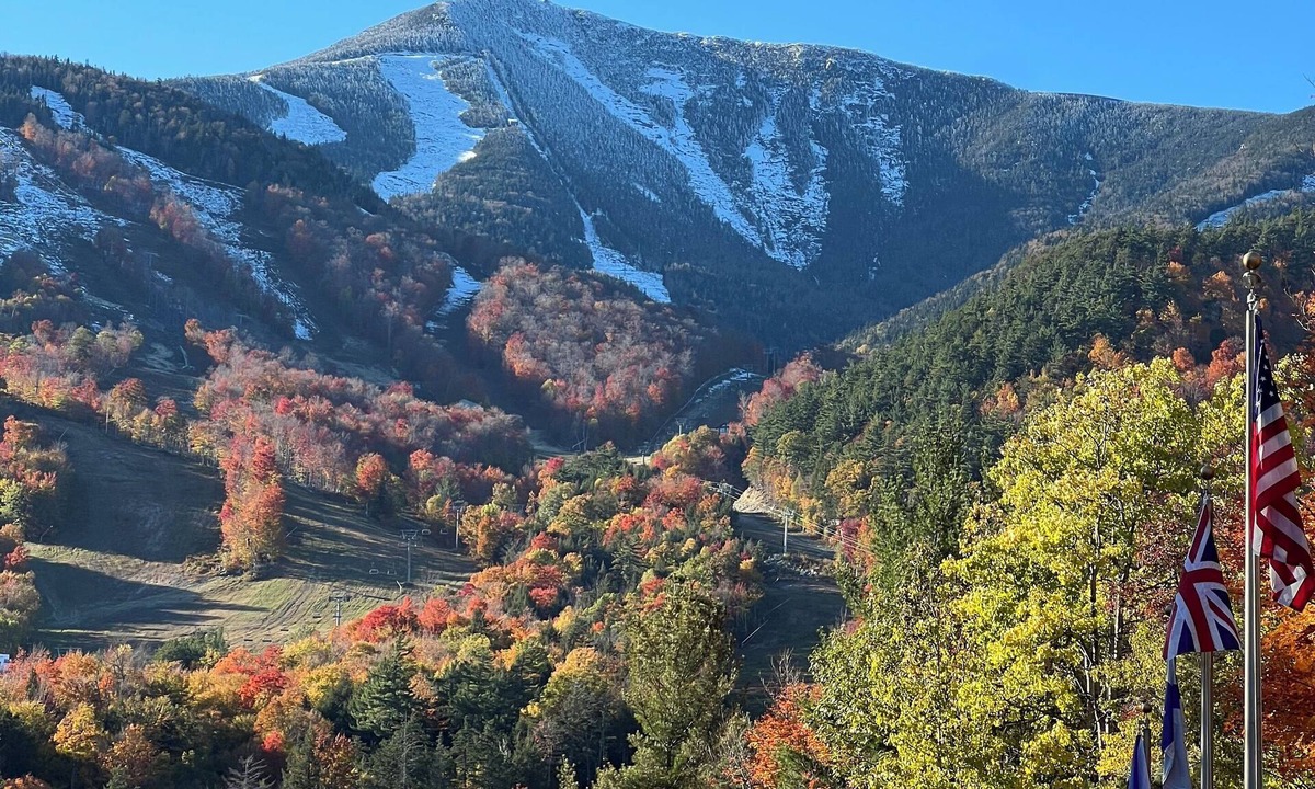 Wilmington Apartment | Anne's Dream Second Floor Rental nn