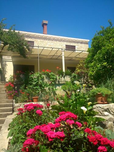 Slano Bed & Breakfast | Antun Mozara Family House
