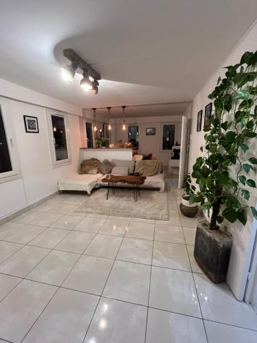 Sarcelles Other | Any’s