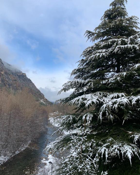 Buira Apartment | Apartament Monestir Lavaix - Pont de Suert