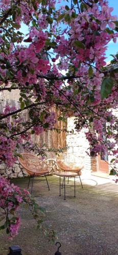 Teruel Apartment | Apartamento Bajo Los Arcos