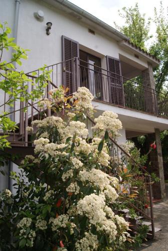 Banyoles Apartment | Apartamento con encanto l'Estany 2