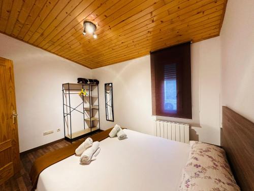 Ainsa-Sobrarbe Apartment | Apartamento Partara