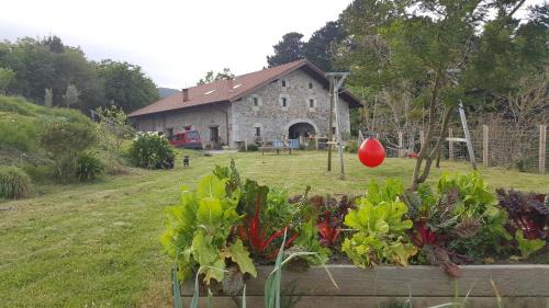 Ispaster Apartment | Apartamentos Iparagirre