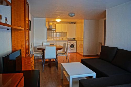 Alujan Apartment | Apartamentos Turísticos Río Gallego (Apartamento Huesca)