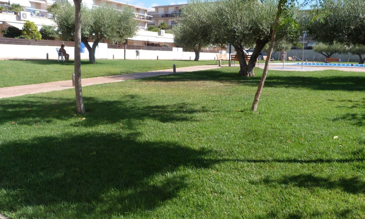 Sant Carles de la Rapita Apartment | Apartment in ALCANAR PLATJA, Costa Daurada, Spain