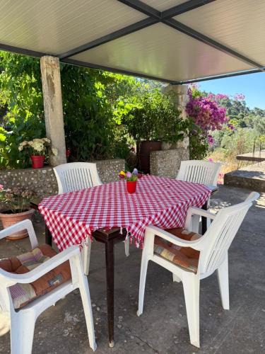 Mljet Apartment | Apartman Desa Babino zlato