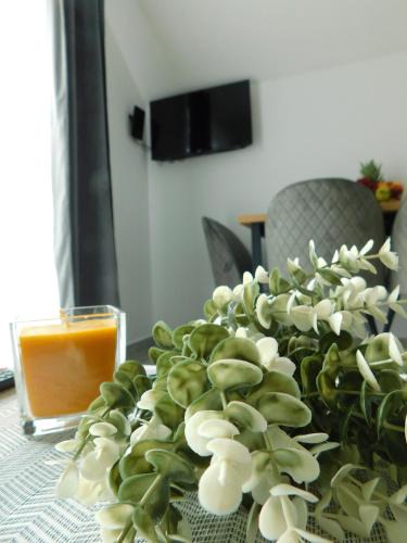 Otocac Apartment | Apartman Nativis