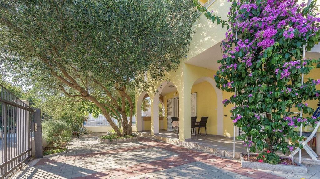 Drage Apartment | Apartmani KATARINA