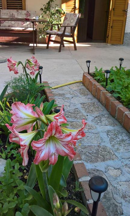 Nerezine House | Apartmani Rukonić Aleksandar