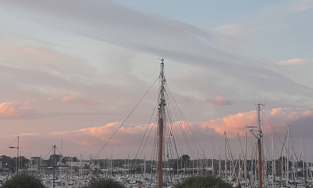 Saint-Vaast-la-Hougue Apartment | apartment on the port