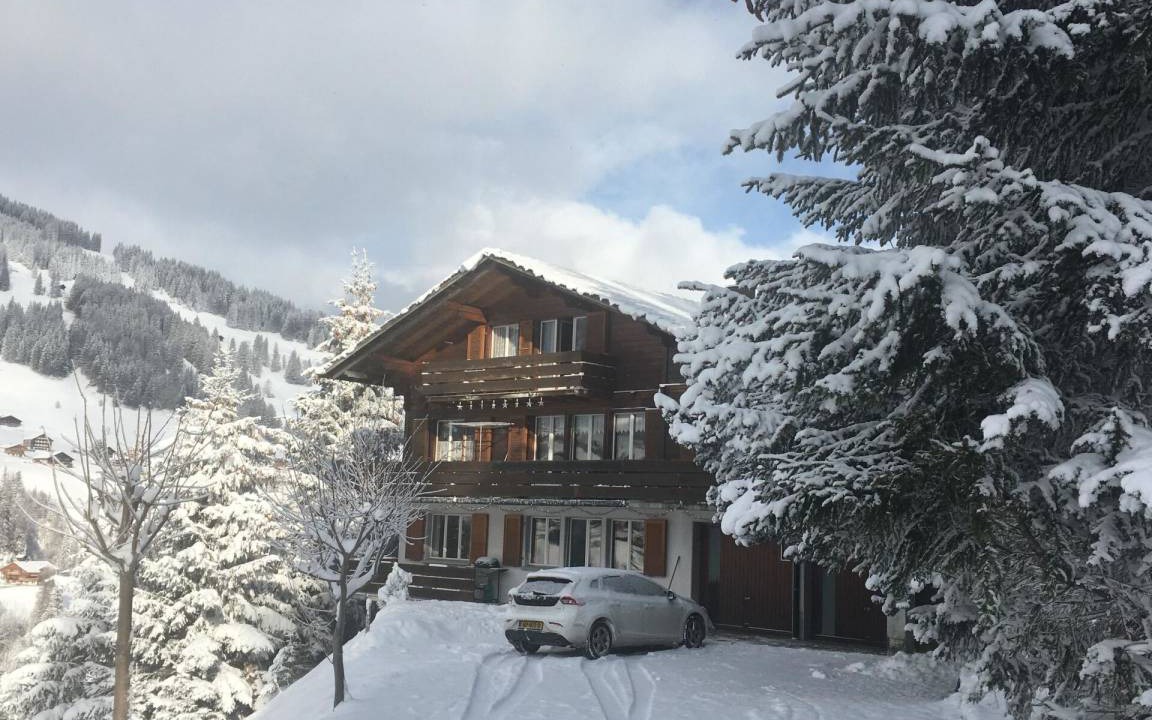 Adelboden Apartment | Apartment ∙ 2 bedrooms ∙ 4 guests
