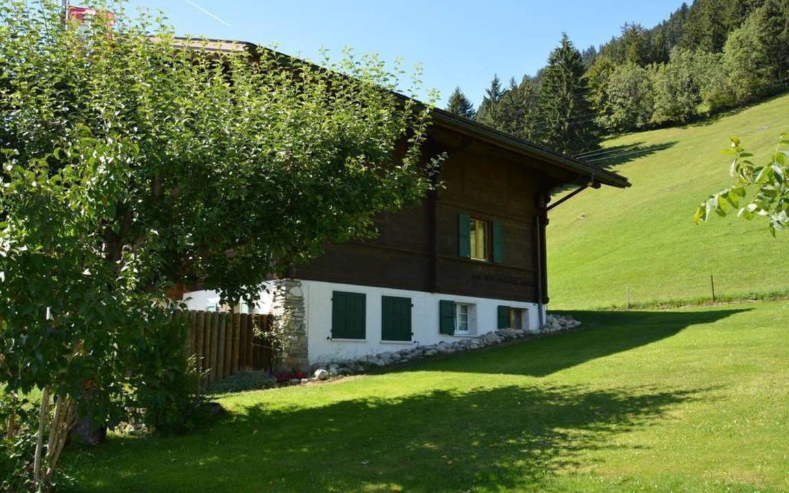 Saanen Apartment | Apartment ∙ 2 bedrooms ∙ 5 guests