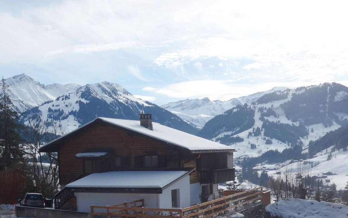 Saanen Apartment | Apartment ∙ 2 bedrooms ∙ 6 guests