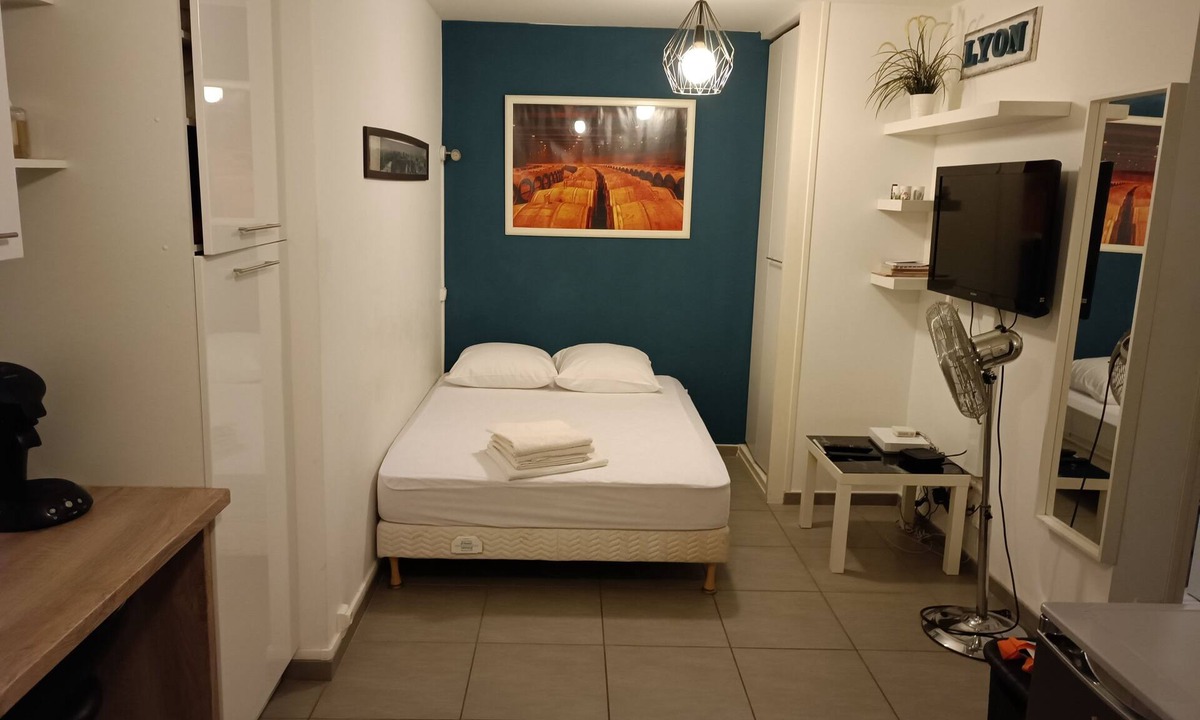 Part Dieu - Bir Hakeim Apartment | Apartment 2 downtown part god!