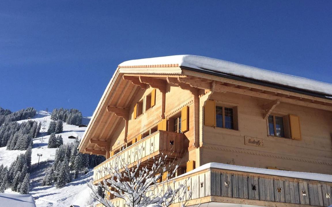 Adelboden Apartment | Apartment ∙ 3 bedrooms ∙ 4 guests