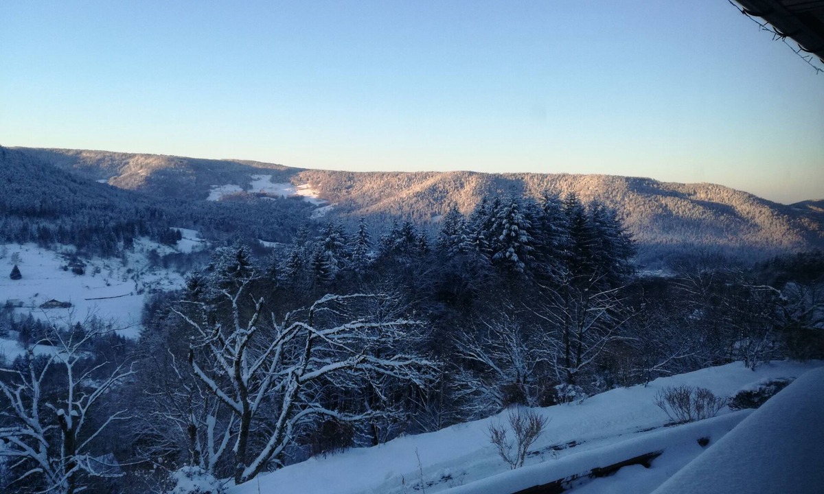 Basse-sur-le-Rupt Apartment | Apartment 4 persons Hautes Vosges