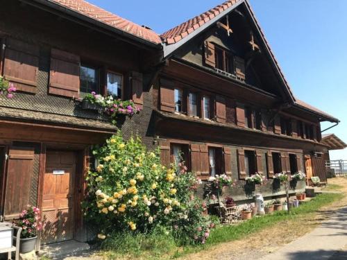 Butschwil Apartment | Apartment Bauernhof Sal by Interhome