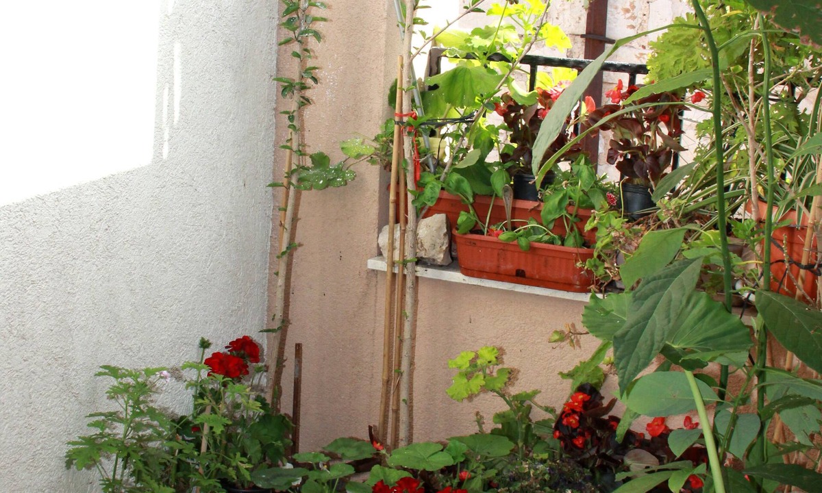 Grad Apartment | Apartment Bucevic