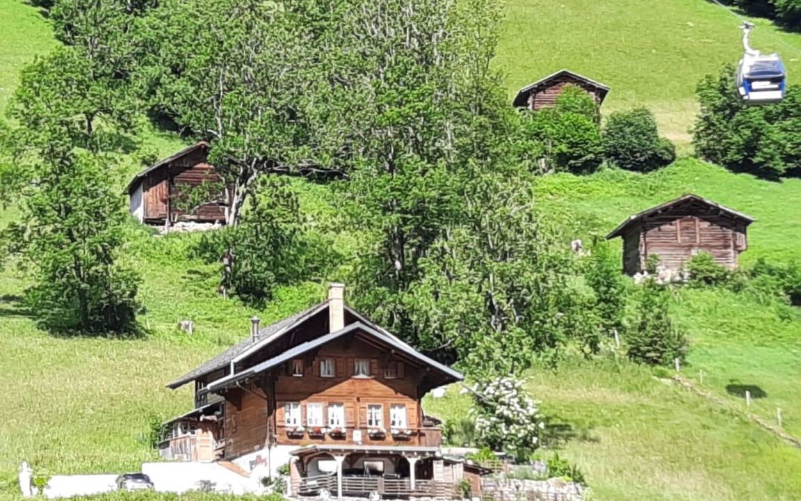 Lenk Apartment | Apartment ∙ 1 bedroom ∙ 4 guests