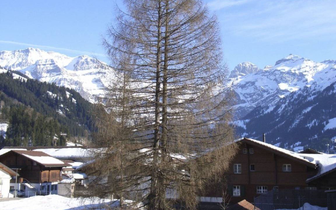 Lenk Apartment | Apartment ∙ 1 bedroom ∙ 4 guests