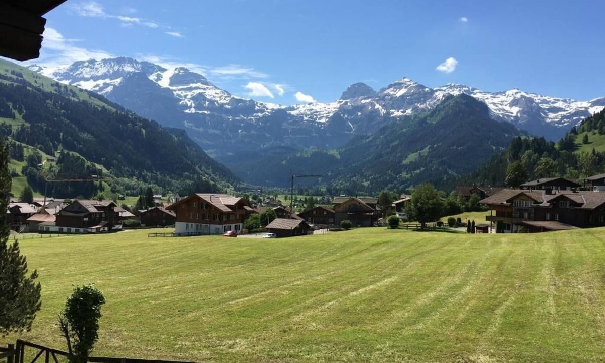 Lenk Apartment | Apartment "Chalet Steinbock"
