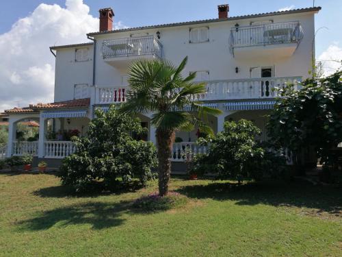 Stranici kod Nove Vasi Apartment | Apartment Coskovic