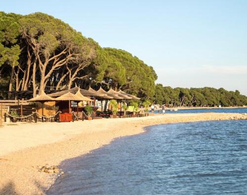 Biograd na Moru Apartment | Apartment David