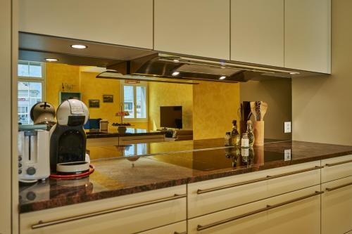 Unterseen Apartment | Apartment Du Pont with Jungfrau and River View