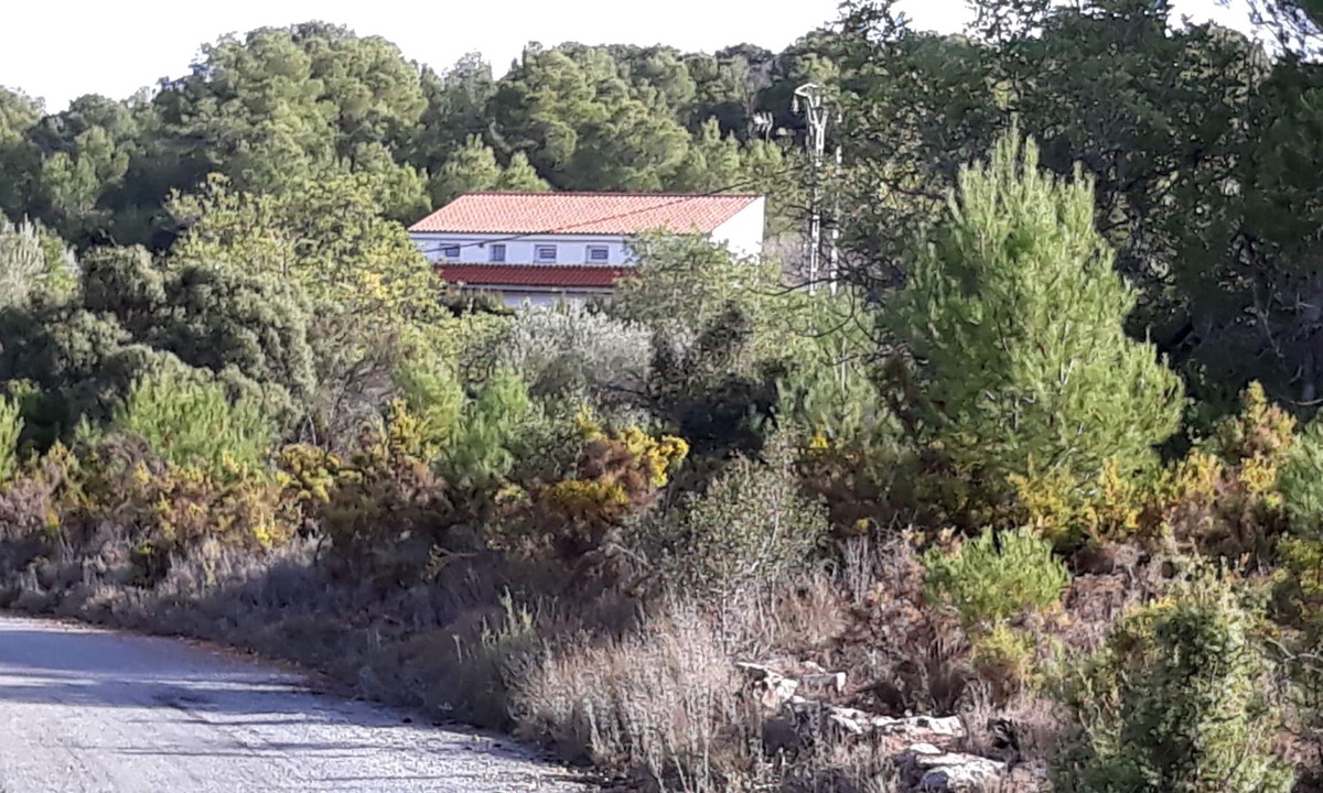 Alfara de la Baronia Apartment | Apartment in the hill