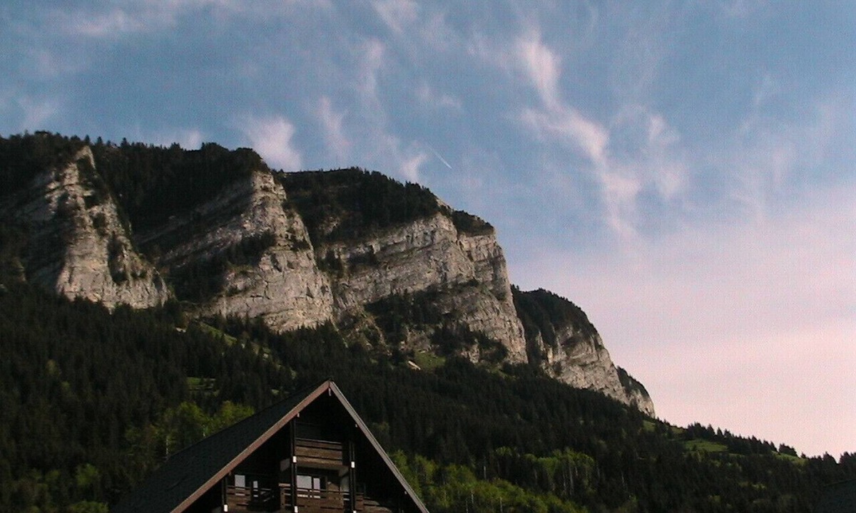 Thollon-les-Memises Apartment | Apartment/flat - Thollon les memises