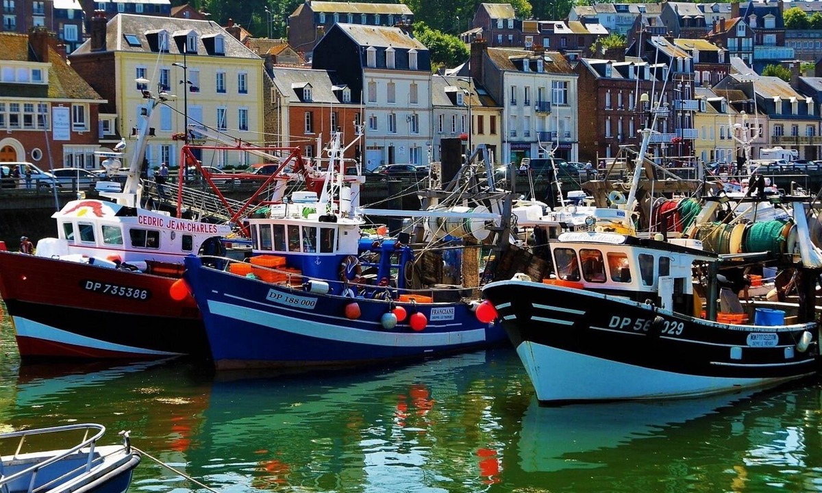 Le Treport Apartment | Apartment facing the fishing port