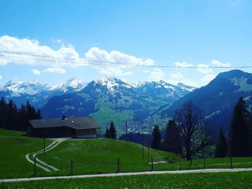 Zweisimmen Apartment | Apartment Ferienwohnung mit Bergpanorama by Interhome