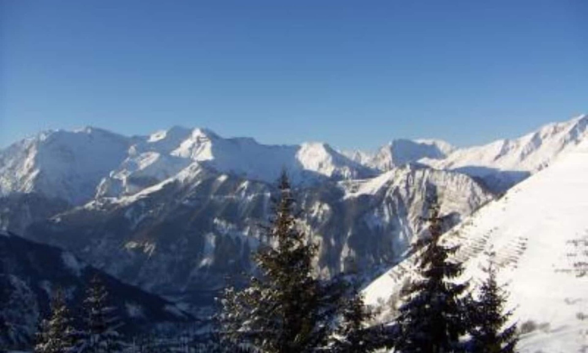 Viel-Alpe Apartment | Apartment/flat - Alpe d'Huez