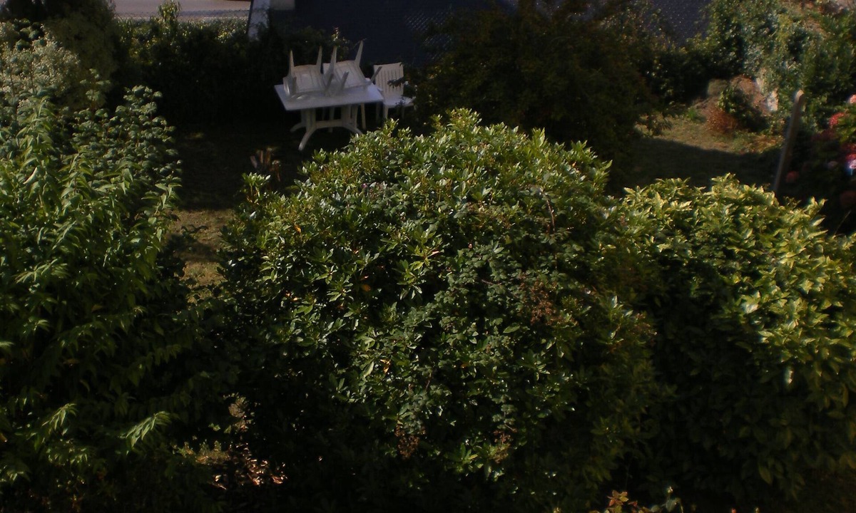 Douarnenez Apartment | Apartment/flat - Douarnenez