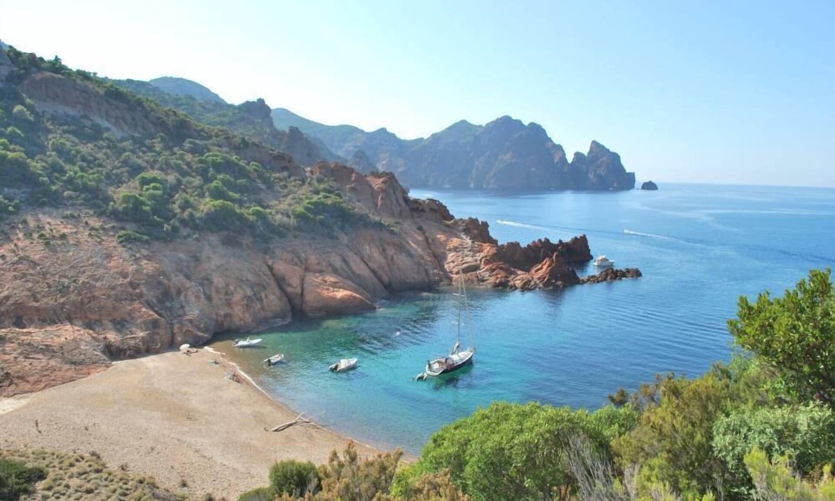 Galeria Apartment | Apartment/flat - Galeria