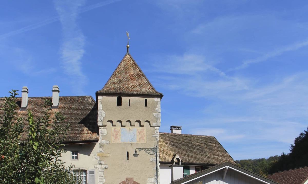 Waldenburg Apartment | Apartment/flat - Waldenburg