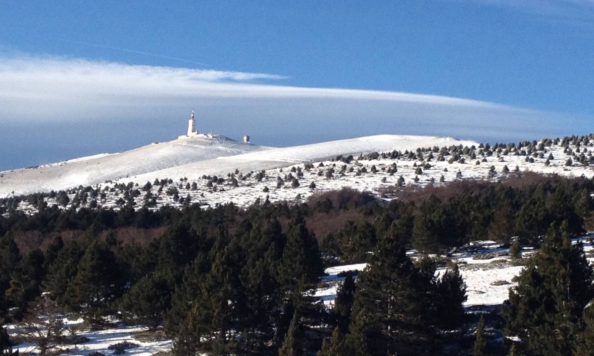 Malaucene Apartment | Apartment