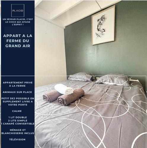 Fiennes Apartment | Apartment Great Air
