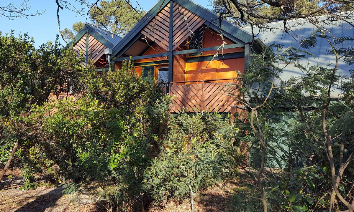 Claouey Apartment | Apartment house 52m2, 3p. between basin and ocean. Peninsula of Cap Ferret