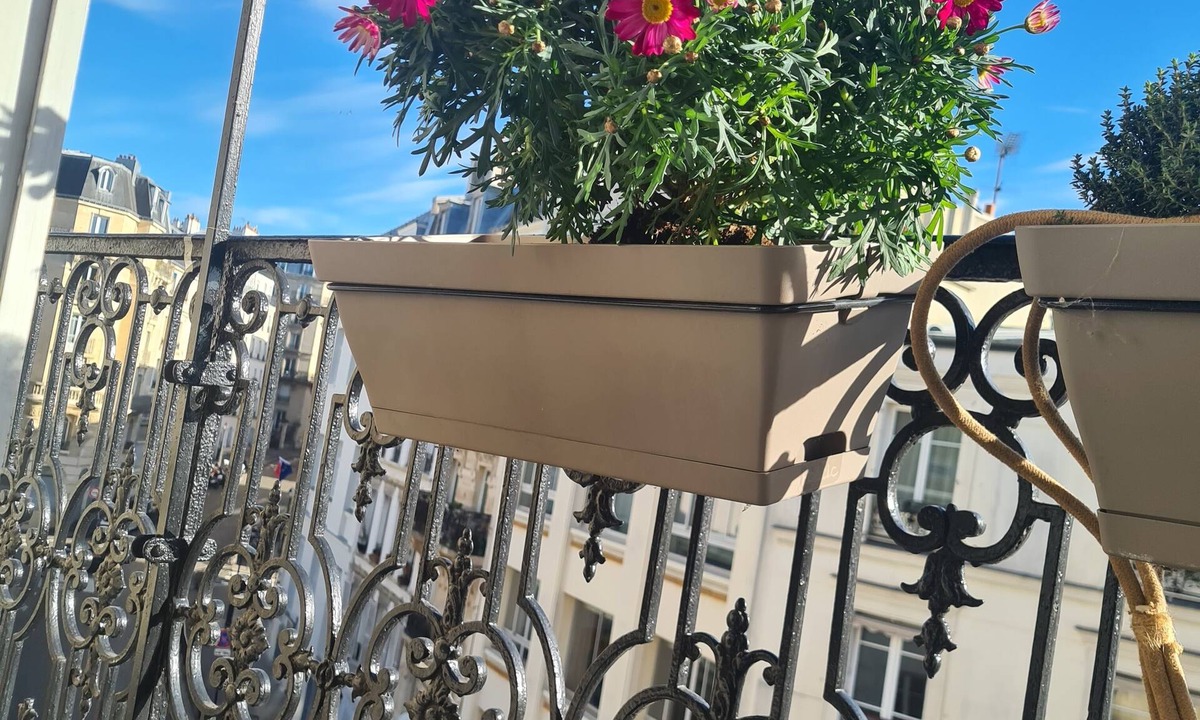 Pigalle Apartment | Apartment in Montmartre
